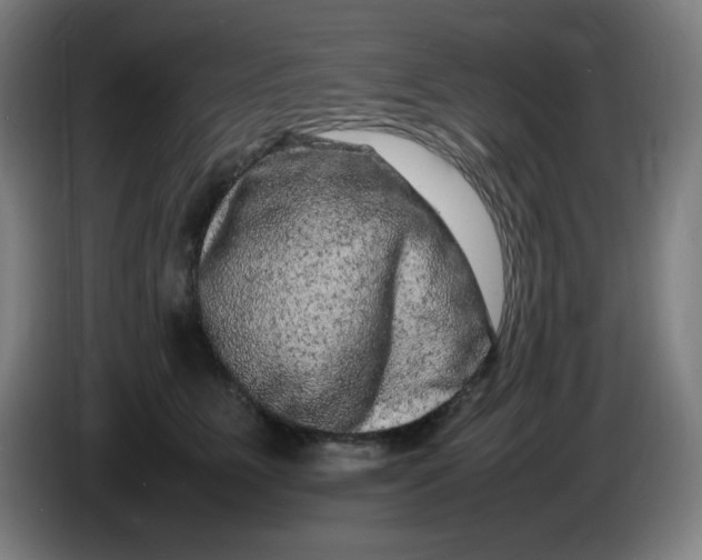 X0000086280515200704191949