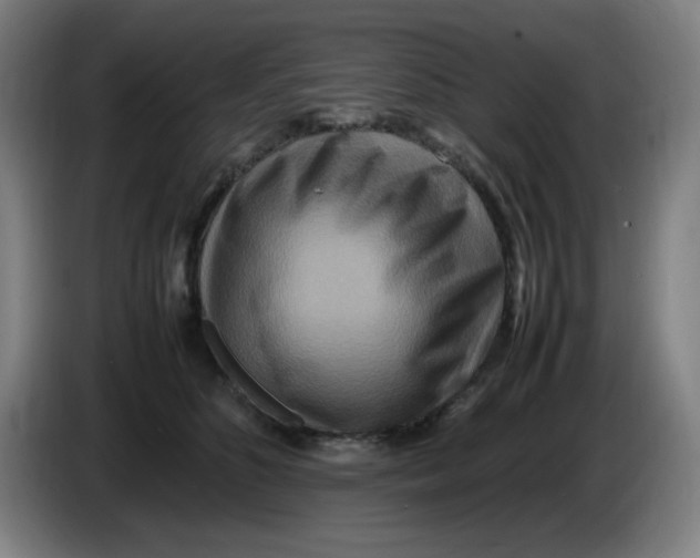 X0000086280516200704191949