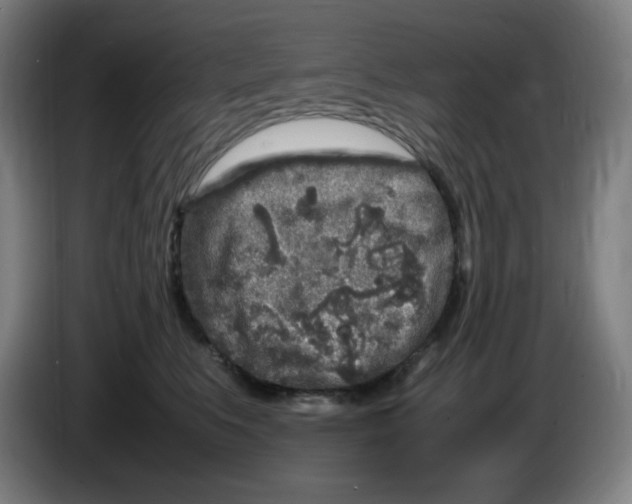 X0000086280519200704191949