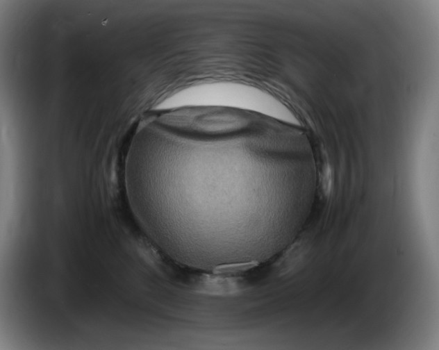 X0000086280520200704191949