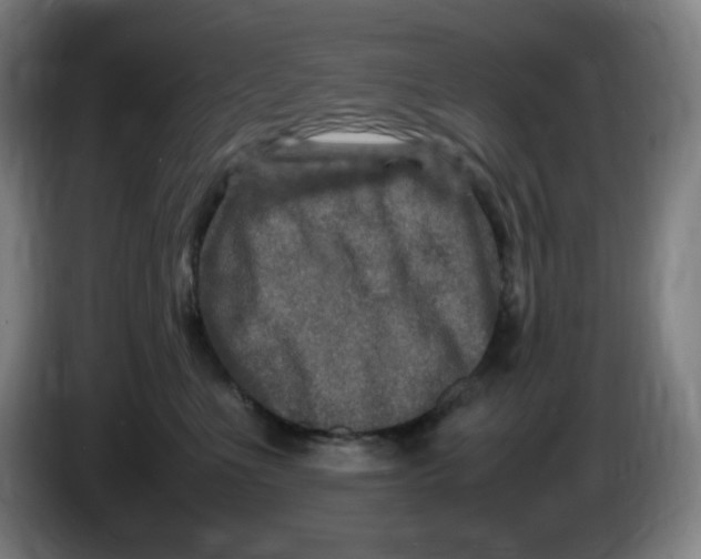 X0000086280523200704191949