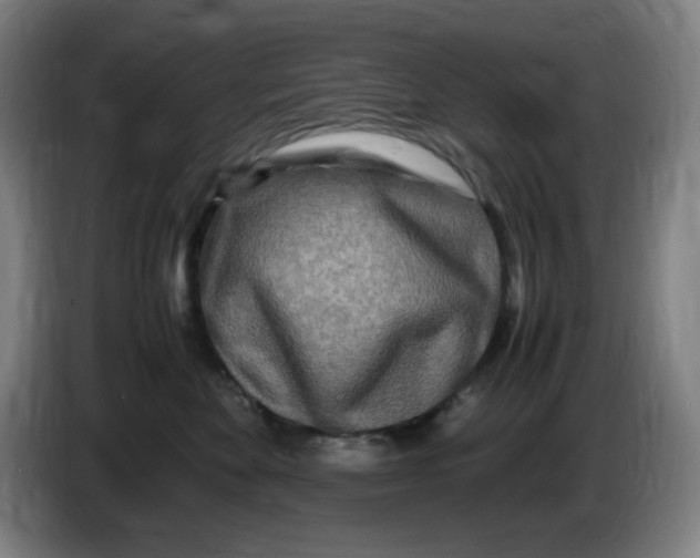 X0000086280524200704191949