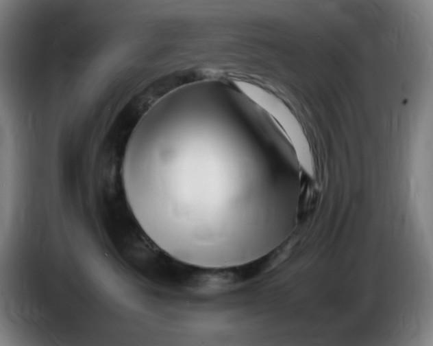 X0000086280525200704191949