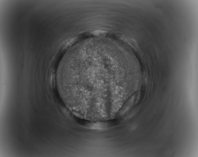 X0000086280527200704191949