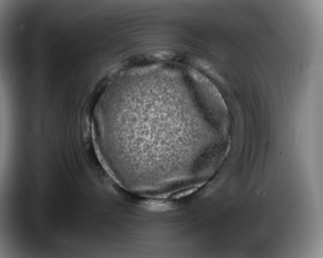 X0000086280528200704191949