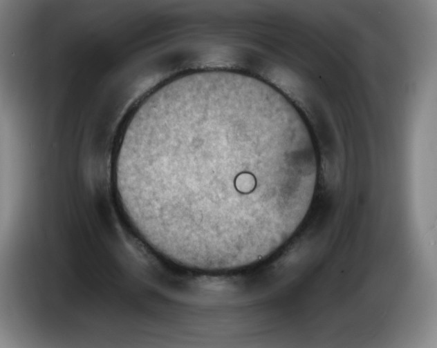 X0000086280534200704191948