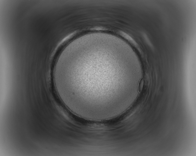 X0000086280535200704191948