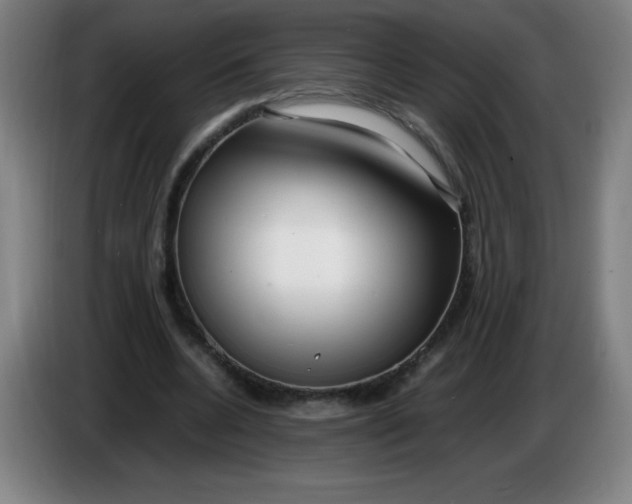 X0000086280536200704191948