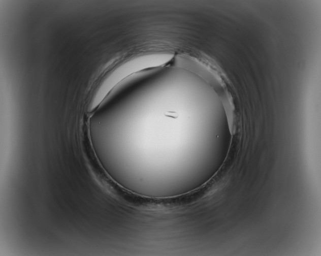 X0000086280538200704191948