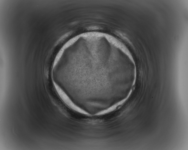 X0000086280539200704191948