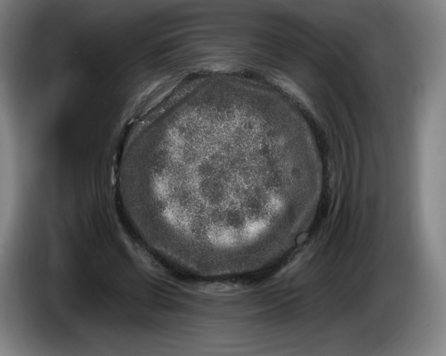 X0000086280542200704191948