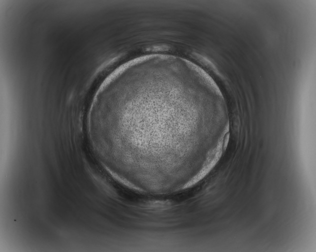 X0000086280543200704191948