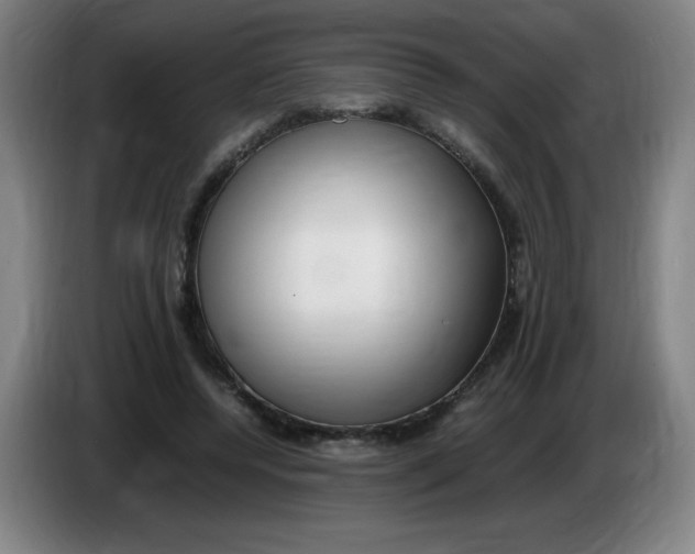 X0000086280544200704191948