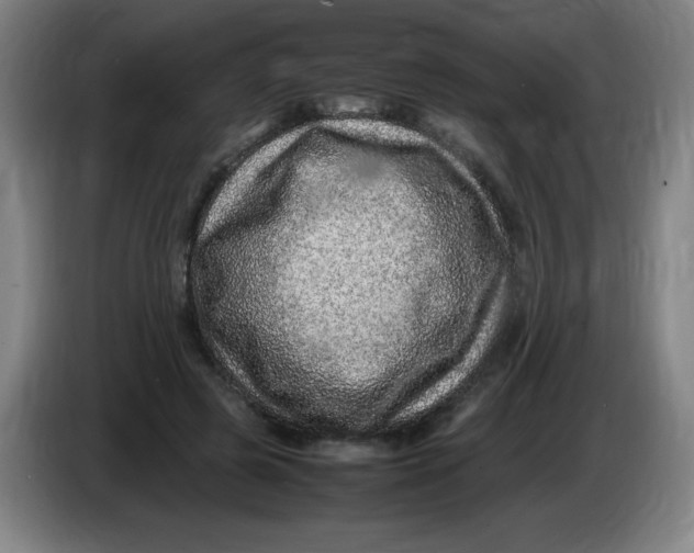 X0000086280545200704191948