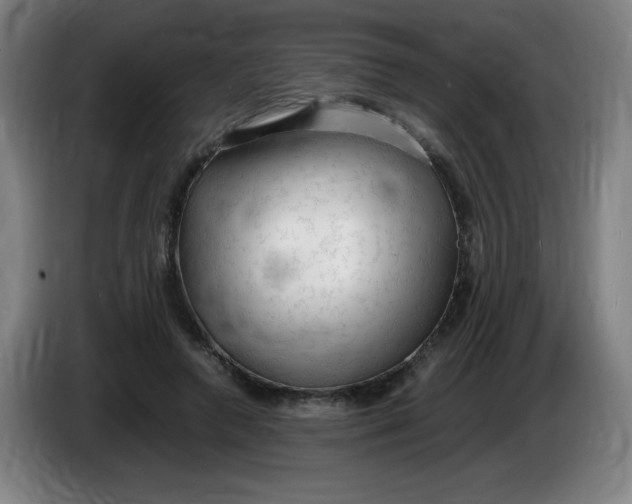 X0000086280546200704191948