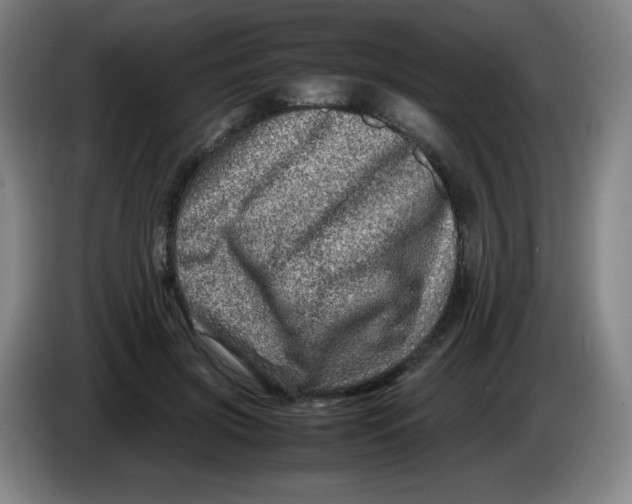 X0000086280549200704191948