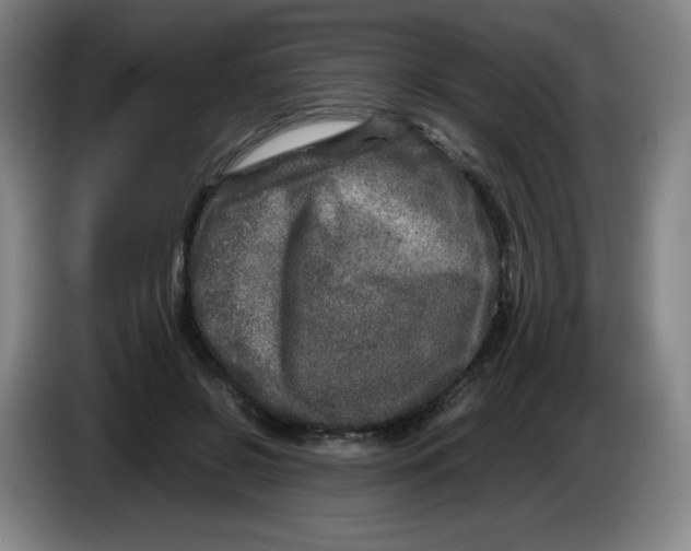 X0000086280550200704191948