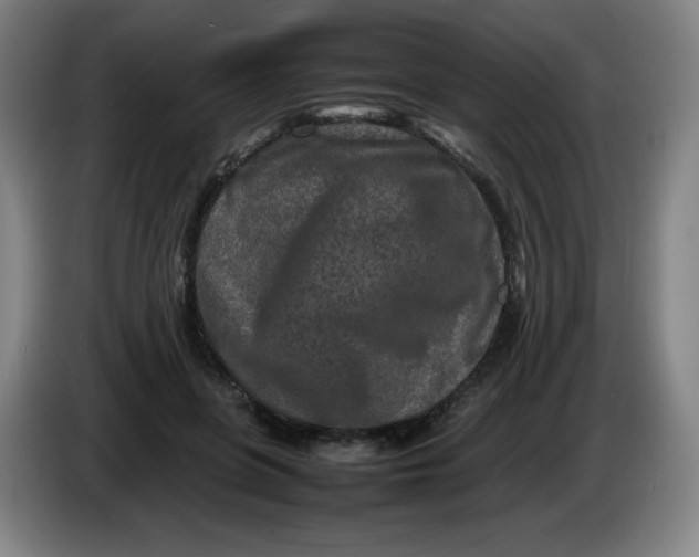 X0000086280551200704191948