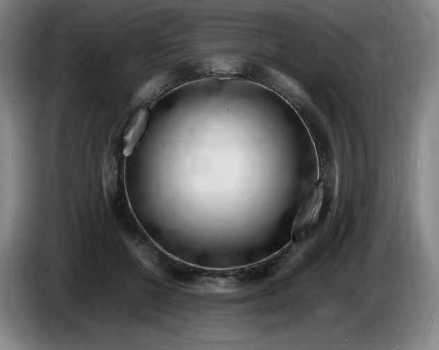 X0000086280552200704191948