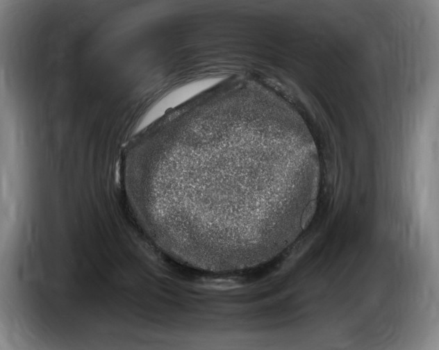 X0000086280553200704191948