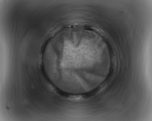 X0000086280554200704191948