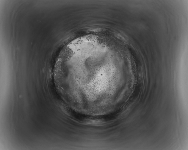 X0000086280555200704191948