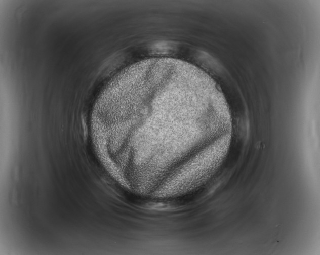 X0000086280557200704191948