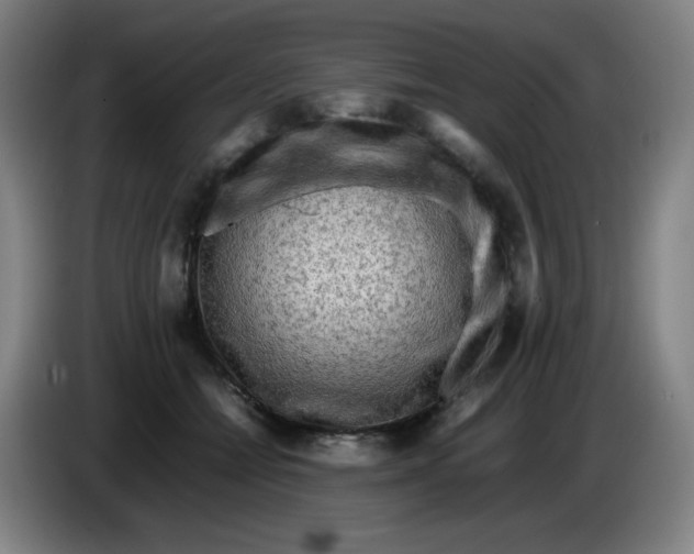 X0000086280558200704191948