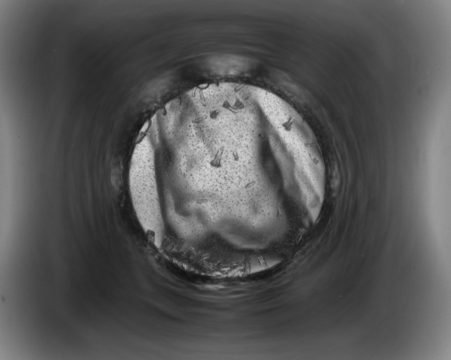 X0000086280559200704191948