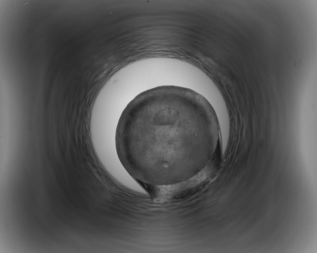 X0000086280560200704191948