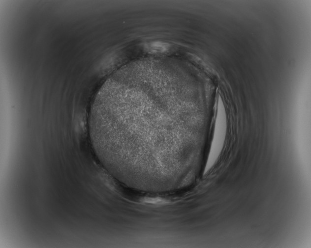 X0000086280561200704191948