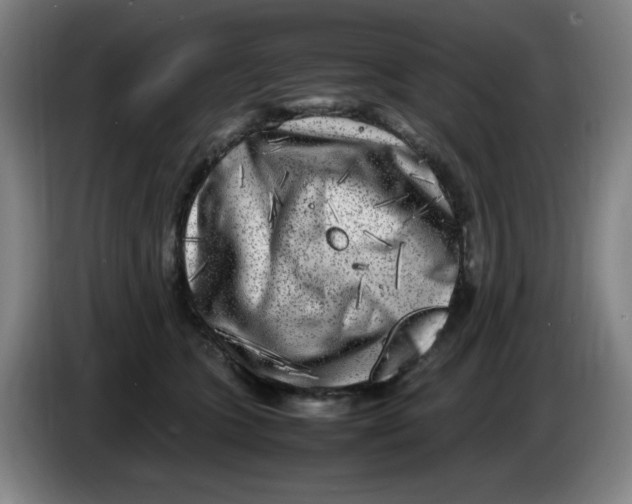 X0000086280563200704191948