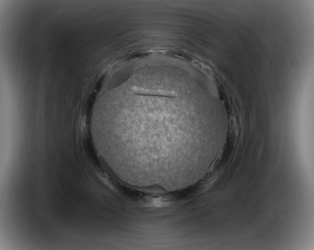 X0000086280564200704191948