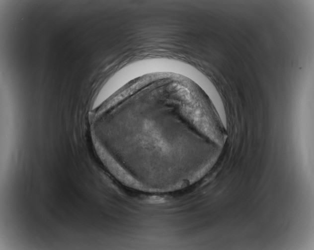 X0000086280566200704191948