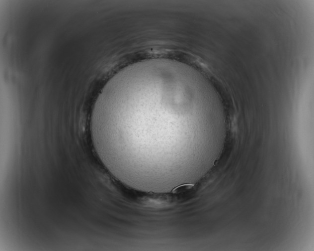 X0000086280567200704191948