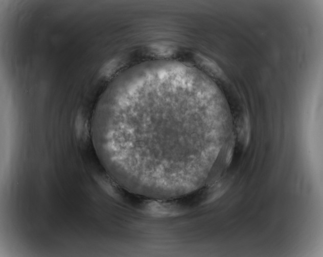 X0000086280568200704191948