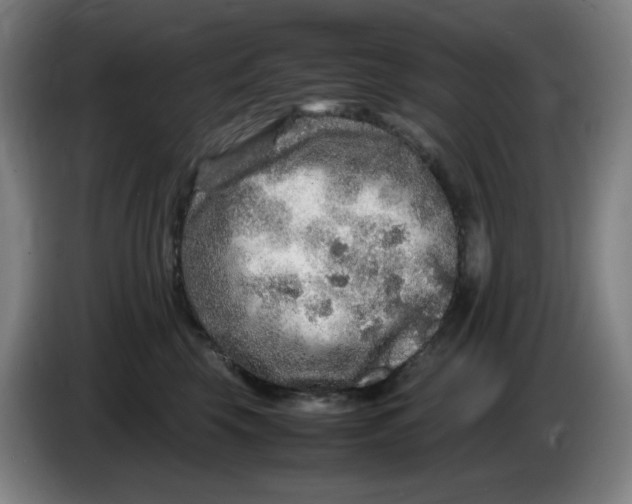 X0000086280569200704191948