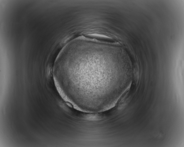 X0000086280574200704191948