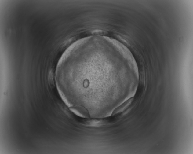 X0000086280575200704191949