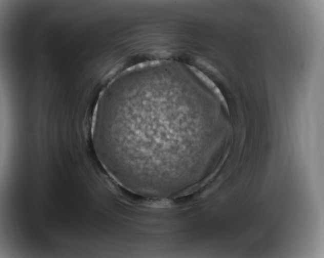 X0000086280576200704191949