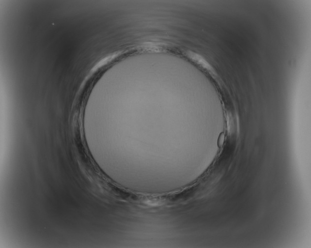 X0000086280579200704191948