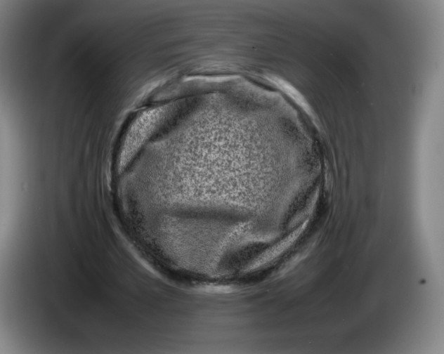 X0000086280581200704191948