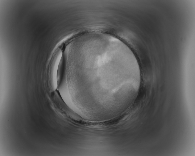 X0000086280583200704191948