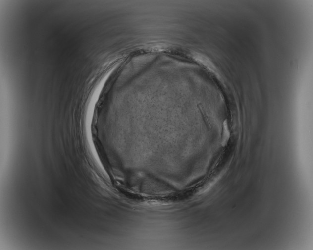 X0000086280585200704191948