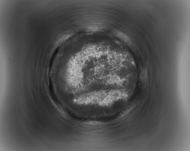 X0000086280590200704191948