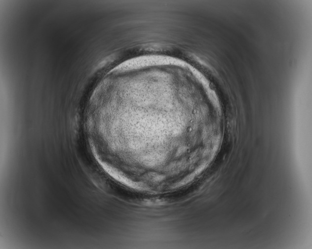 X0000086280591200704191948