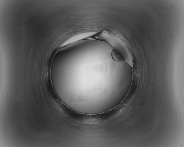 X0000086280593200704191948