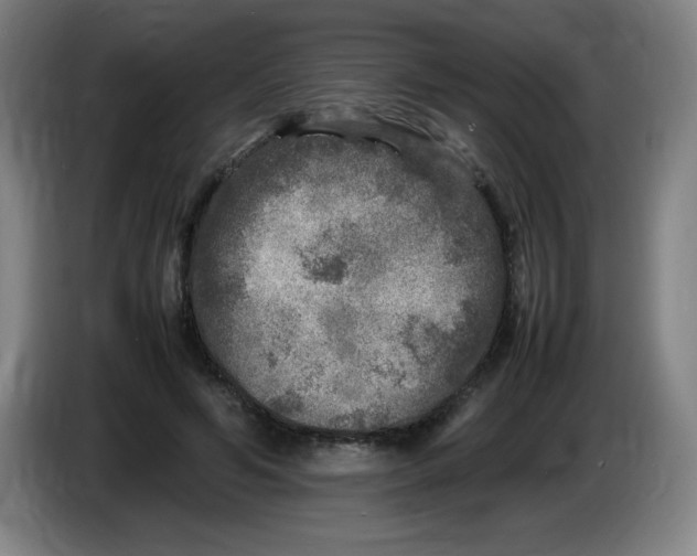 X0000086280594200704191948