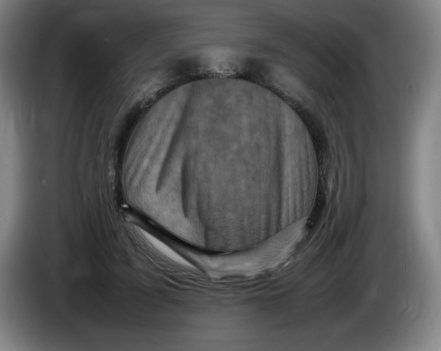 X0000086280595200704191948