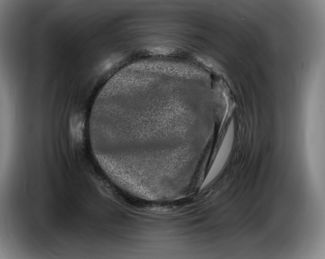 X0000086280596200704191948